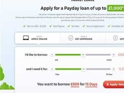 Parrot Loans homepage